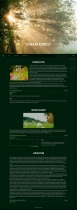DreamForest - Wordpress Theme With CMS Screenshot 1