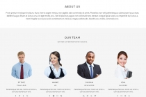 Baleen - One Page Bootstrap HTML Template Screenshot 3