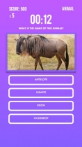 Trivia Engine - A Buildbox 3 Trivia Quiz Engine Screenshot 8