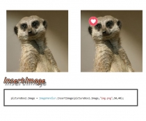 ImageManager .NET Library Screenshot 9