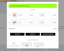 WooCommerce Added To Cart Popup Screenshot 5